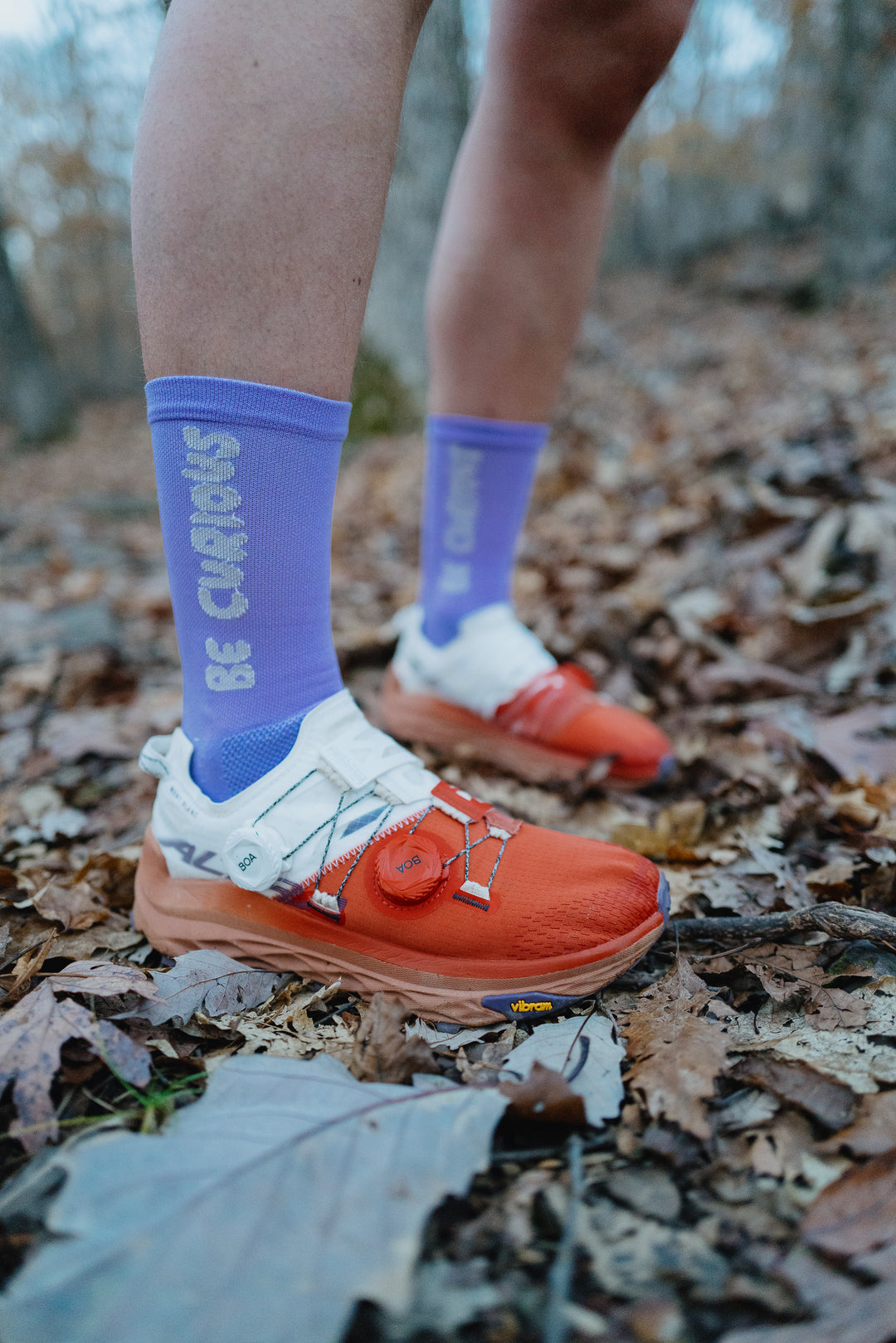 Lavender socks with "Be Curious" on either side of the sock for running and cycling